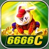 6666c