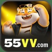 55vv