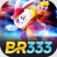 br333