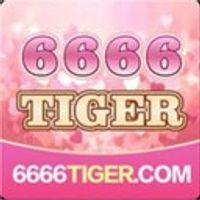 6666tiger