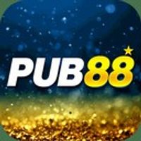 pub88